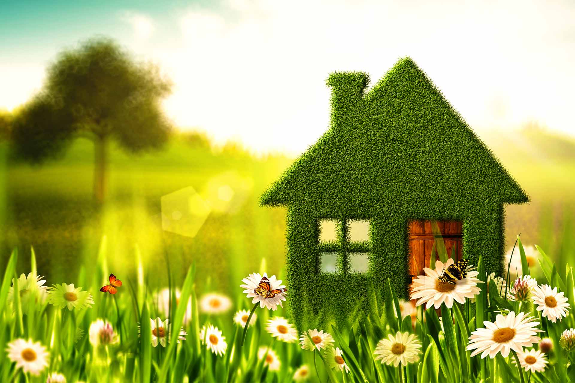 Your Guide To Creating A More Sustainable Home